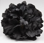 Peony Flower Paris Black Colour. 16cm 7.438€ #504190084NG